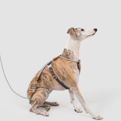 Round Rope Leather Dog Harness