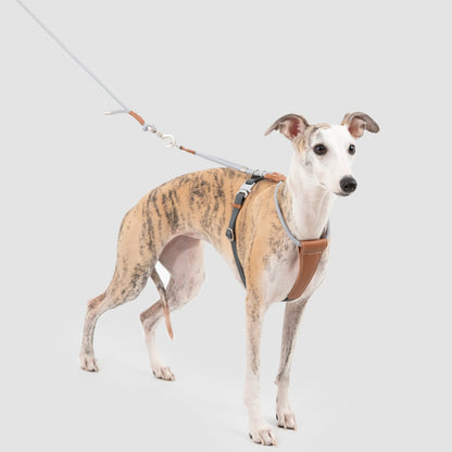 Round Rope Leather Dog Harness