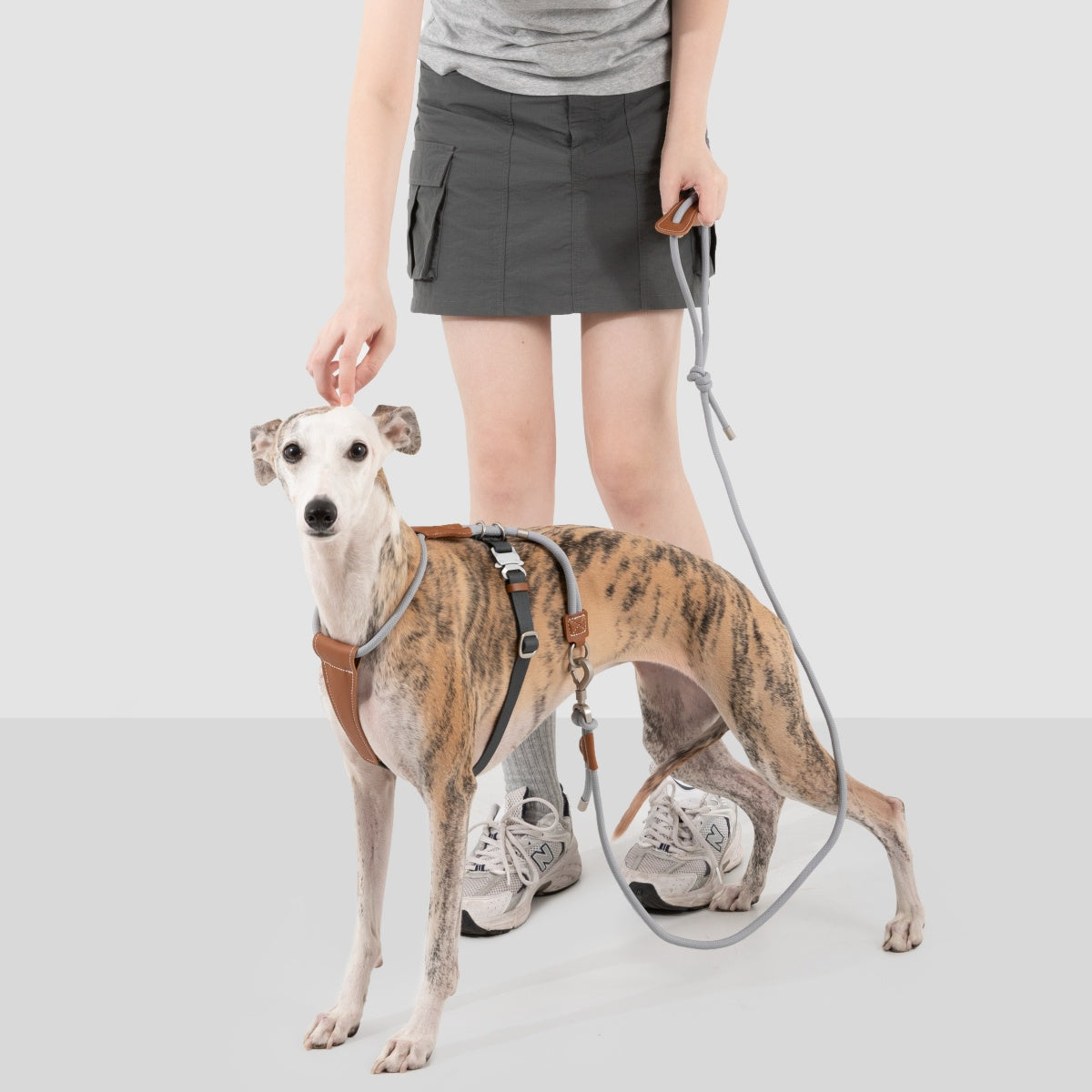 Round Rope Leather Dog Harness