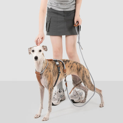 Round Rope Leather Dog Harness