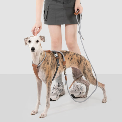 Round Rope Leather Dog Leash