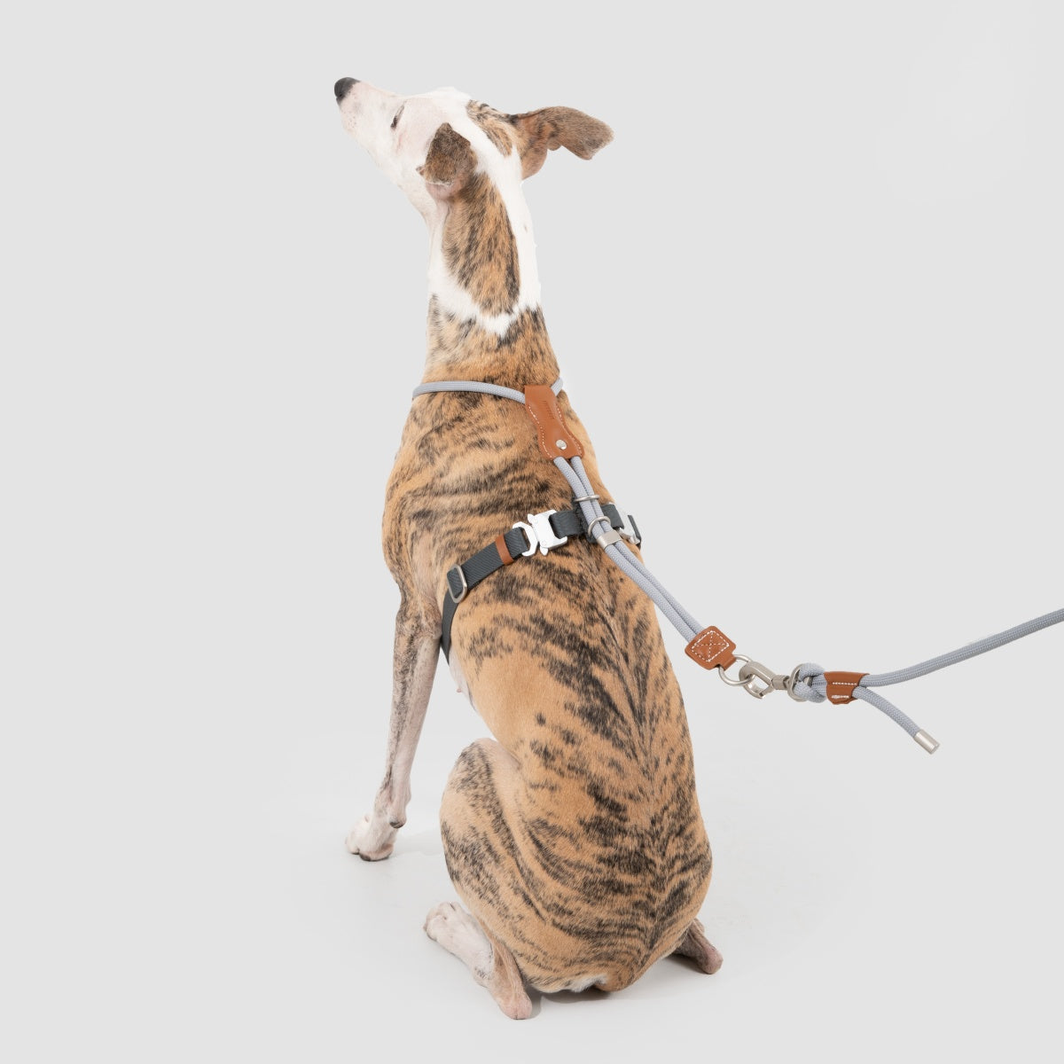 Round Rope Leather Dog Harness