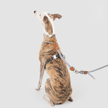 Round Rope Leather Dog Harness