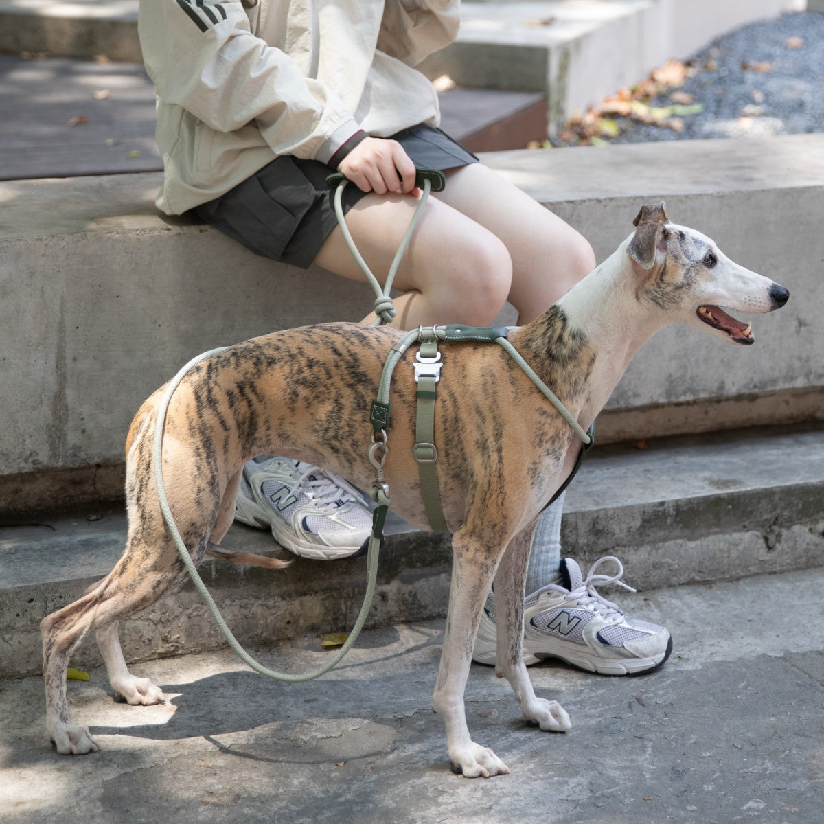 Round Rope Leather Dog Leash