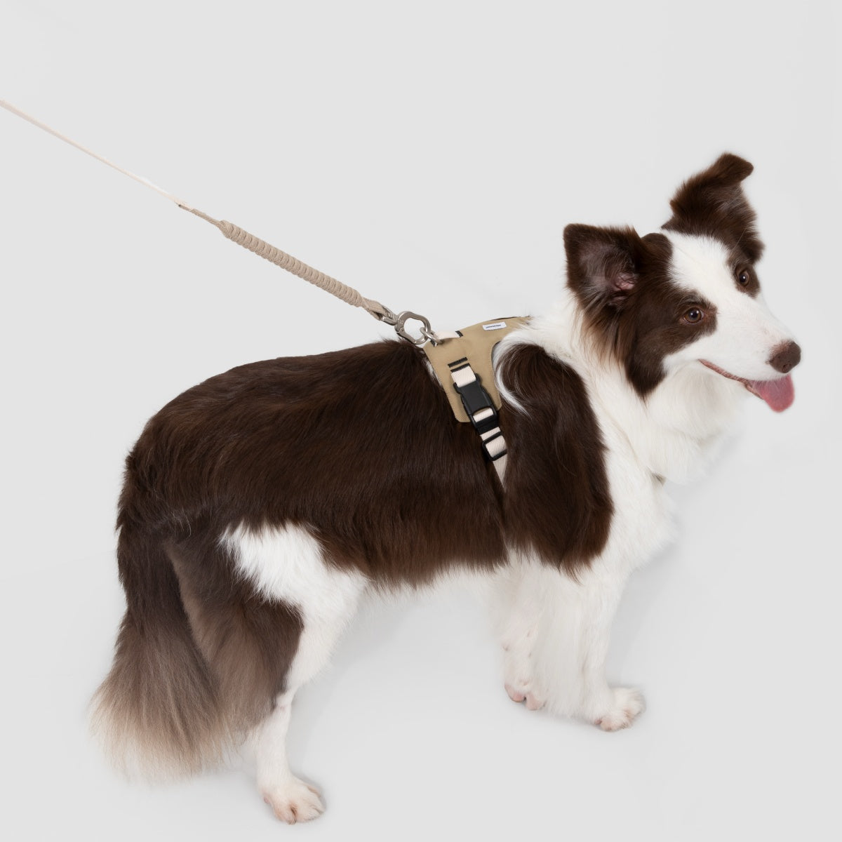 Pressure-Relief Sport Dog Harness