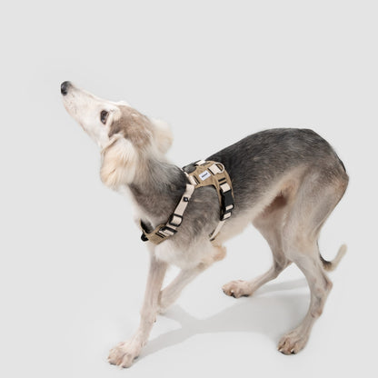 Pressure-Relief Sport Dog Harness