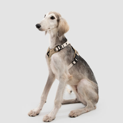 Pressure-Relief Sport Dog Harness