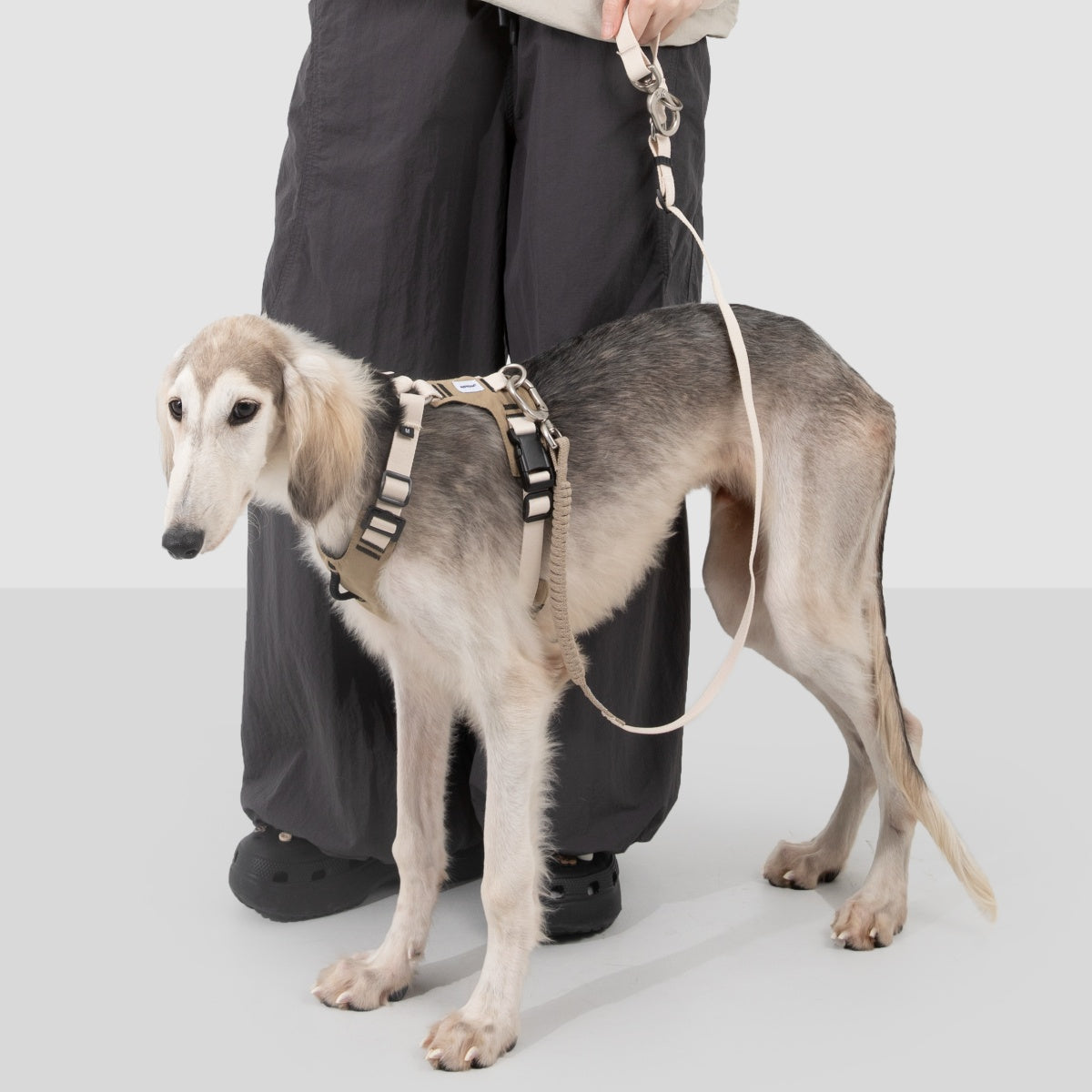 Pressure-Relief Sport Dog Harness