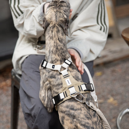 Pressure-Relief Sport Dog Harness