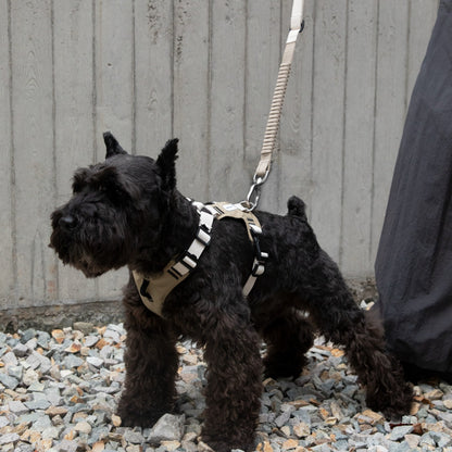 Pressure-Relief Sport Dog Harness