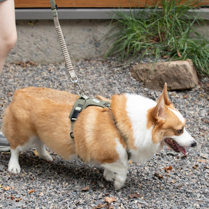 Pressure-Relief Sport Dog Harness