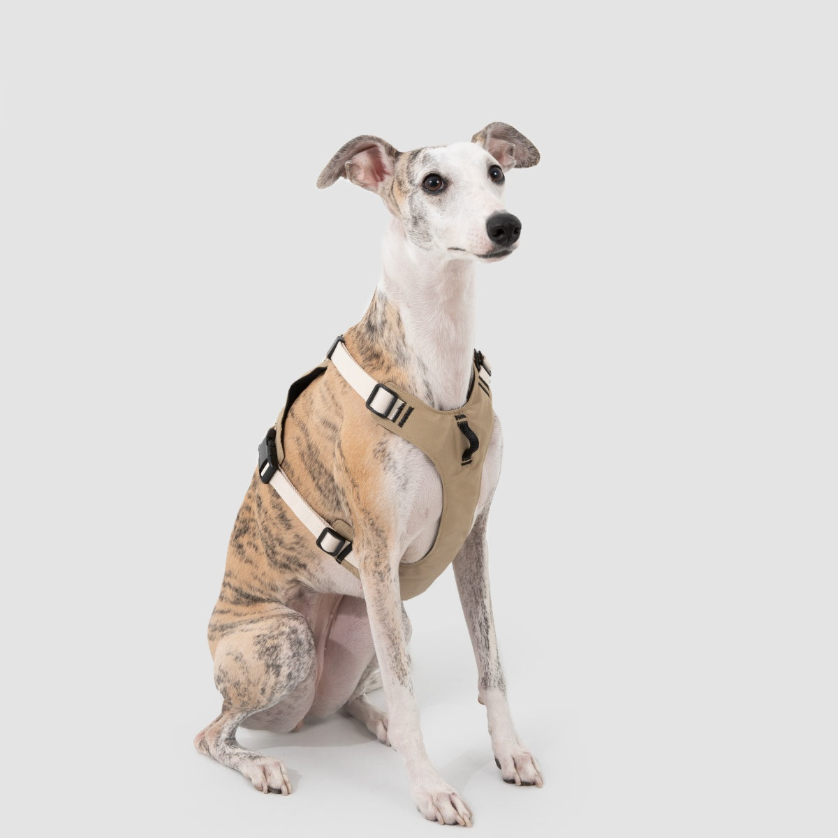 Pressure-Relief Sport Dog Harness