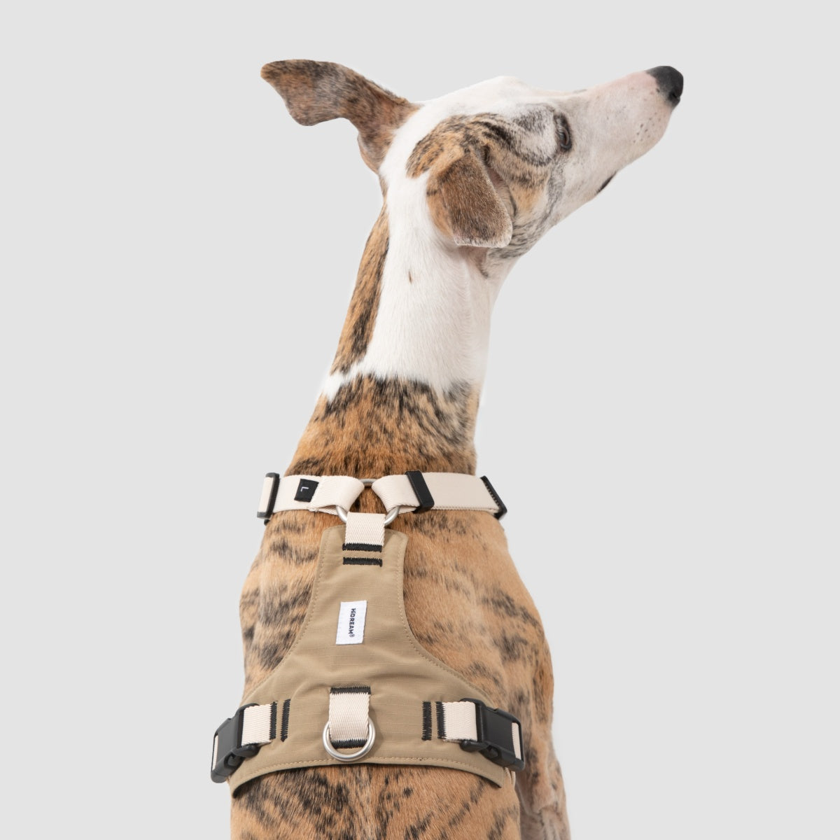 Pressure-Relief Sport Dog Harness