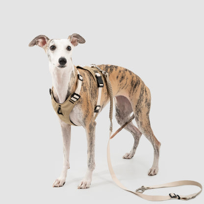 Pressure-Relief Sport Dog Harness