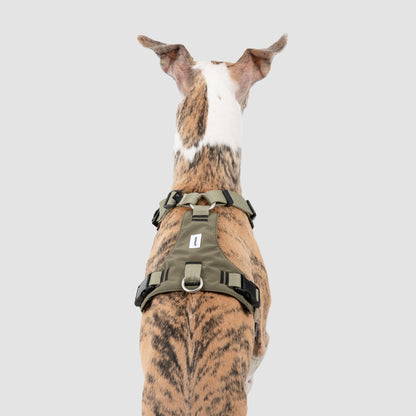 Pressure-Relief Sport Dog Harness