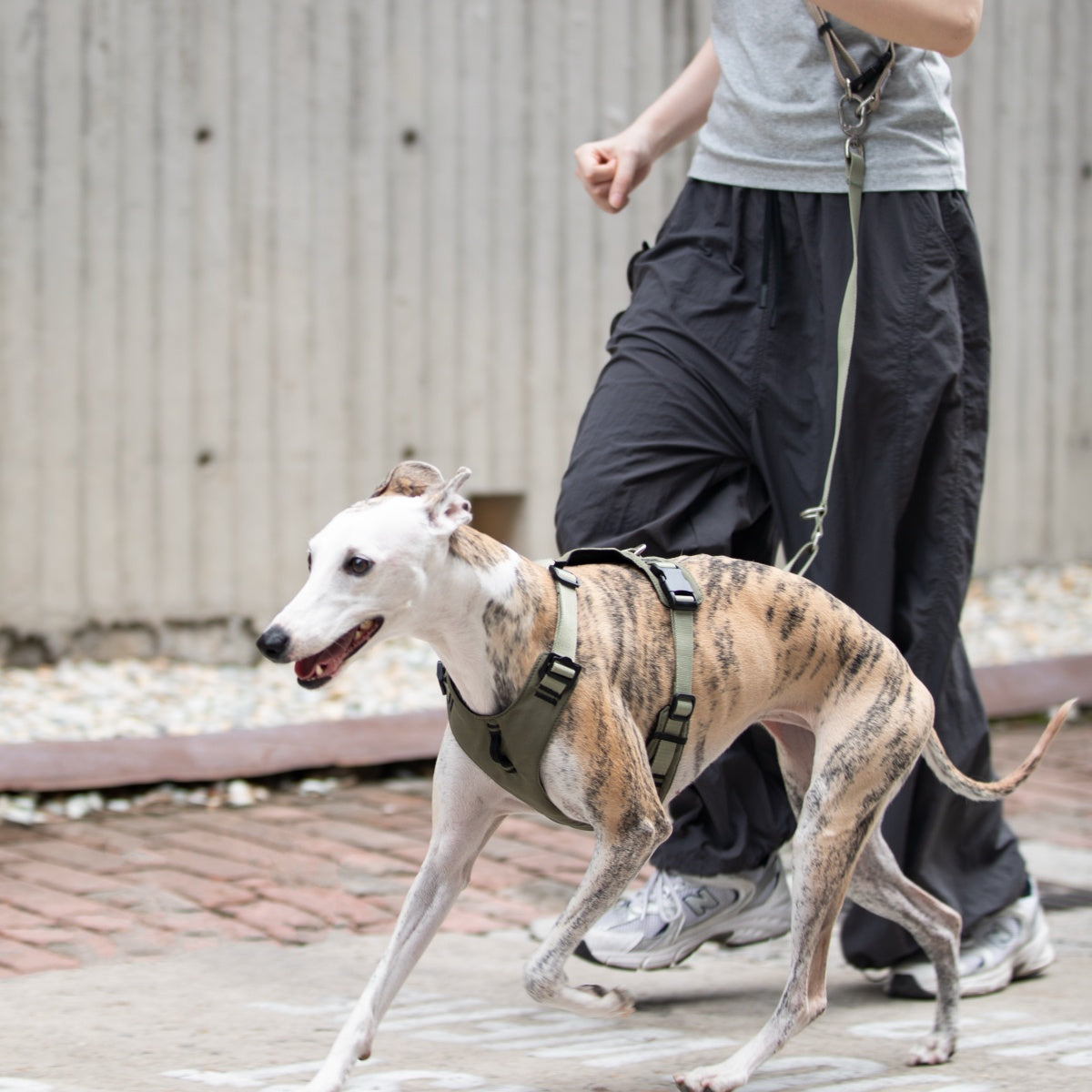 Pressure-Relief Sport Dog Harness
