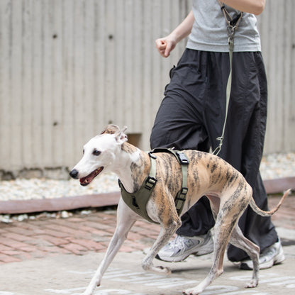 Pressure-Relief Sport Dog Harness