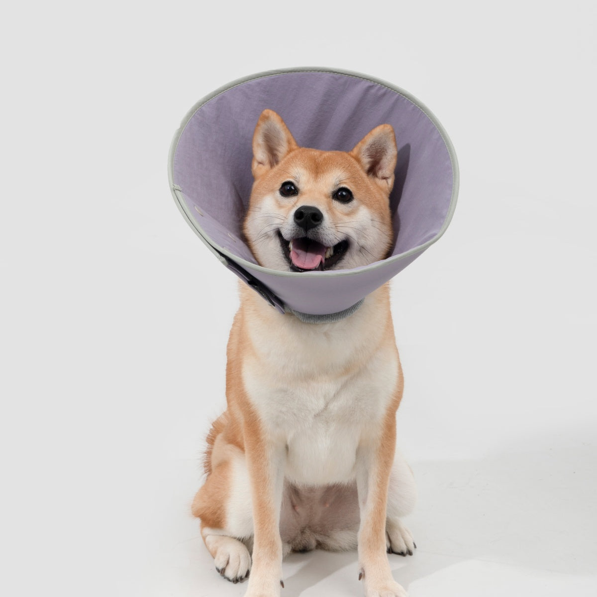 Snap-Button Cone Recovery Collar