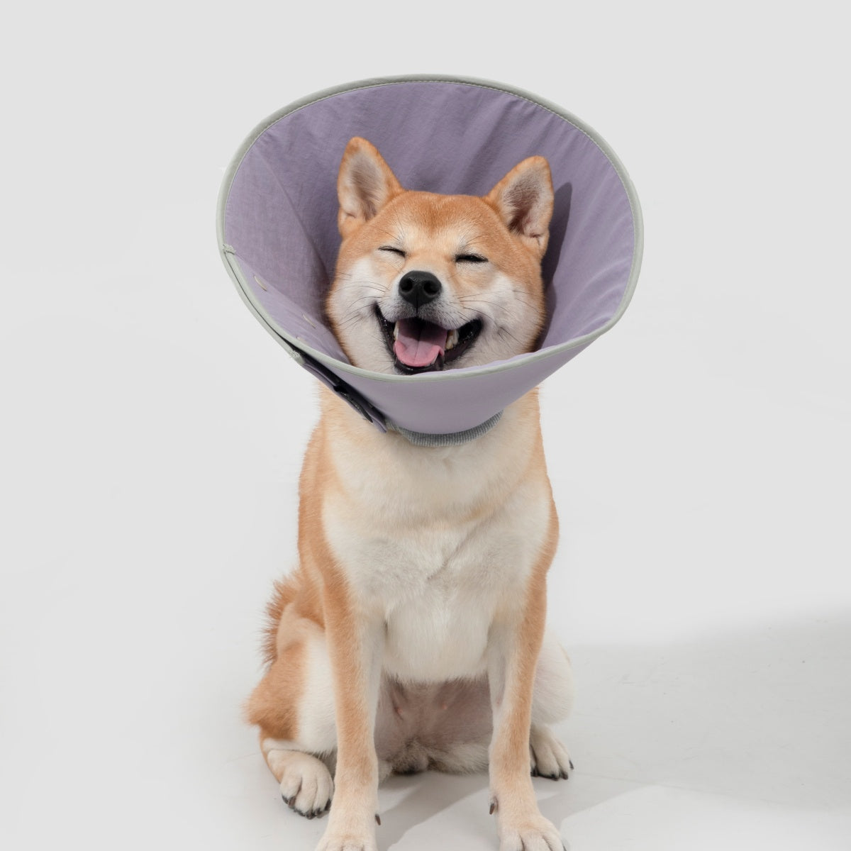 Snap-Button Cone Recovery Collar