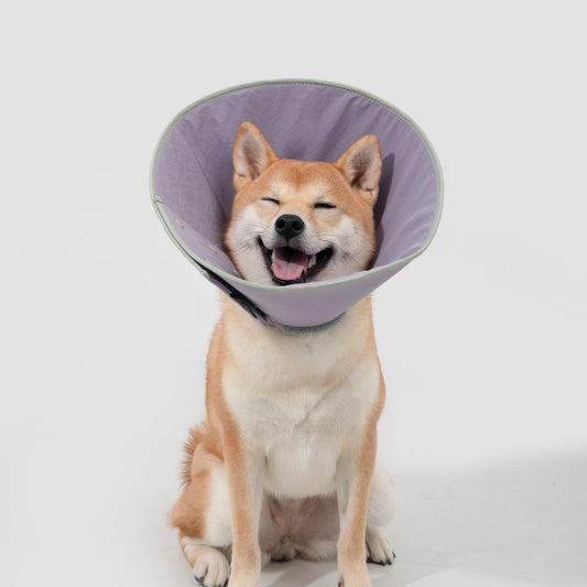 Snap-Button Cone Recovery Collar