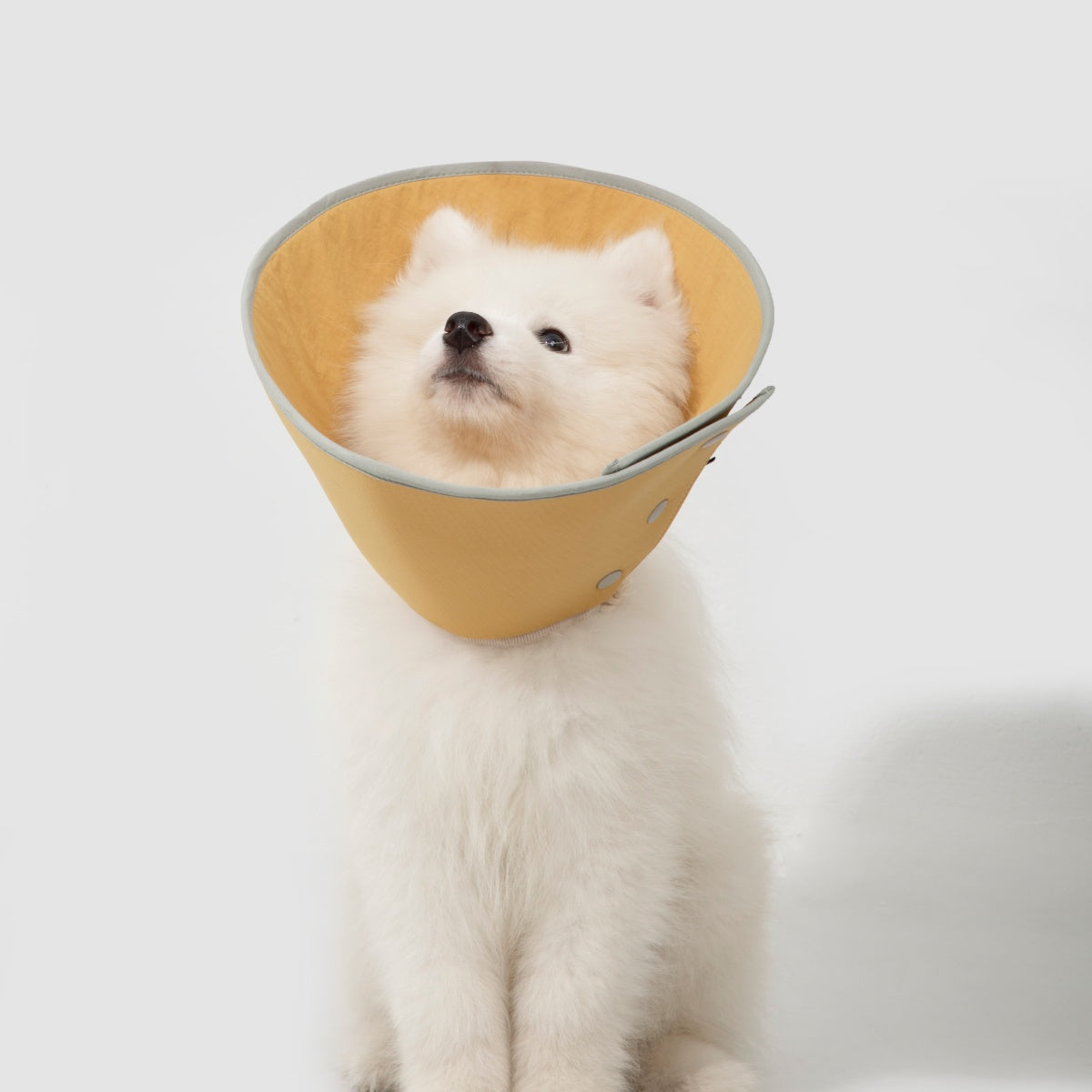 Snap-Button Cone Recovery Collar