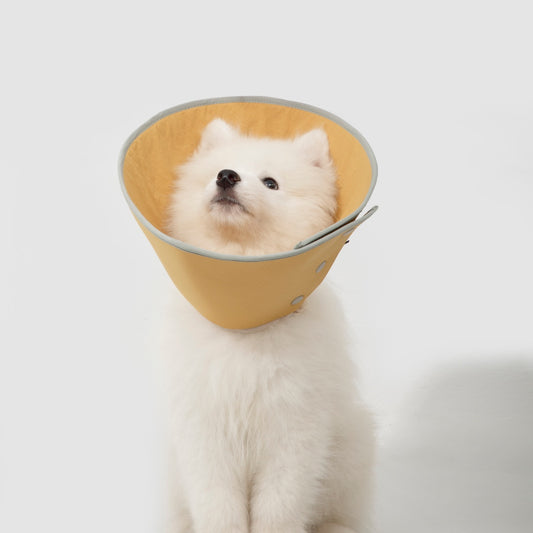Snap-Button Cone Recovery Collar