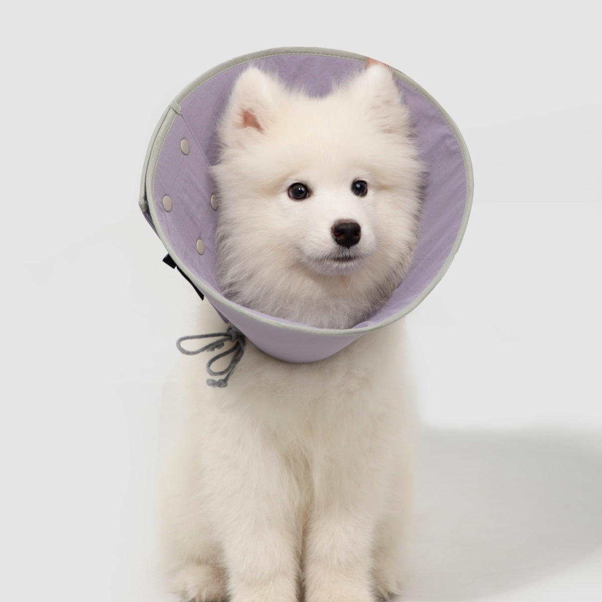 Snap-Button Cone Recovery Collar