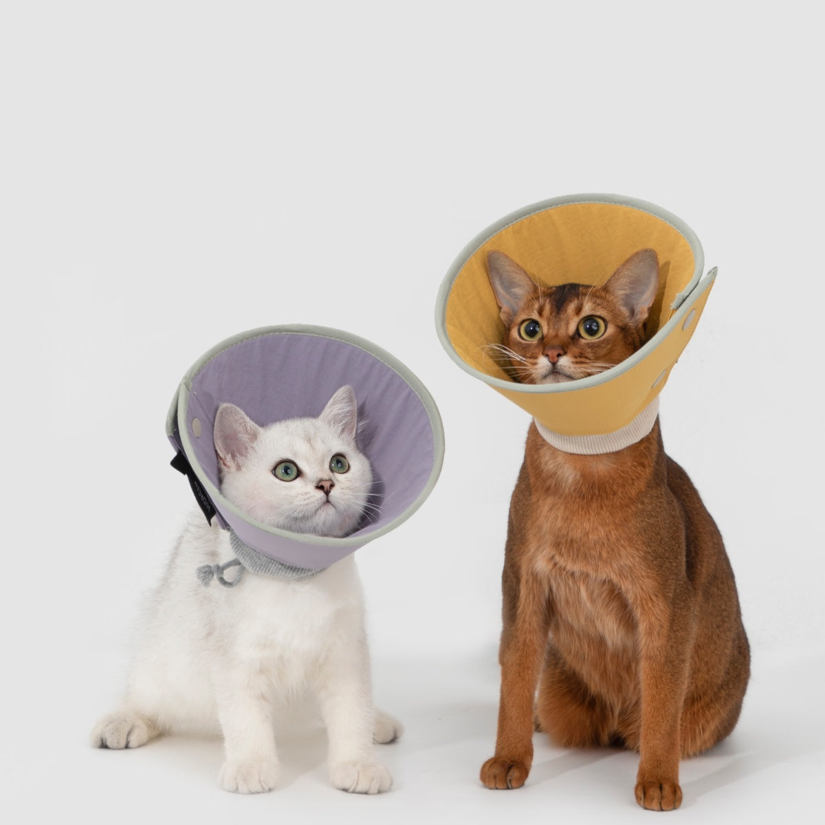 Snap-Button Cone Recovery Collar