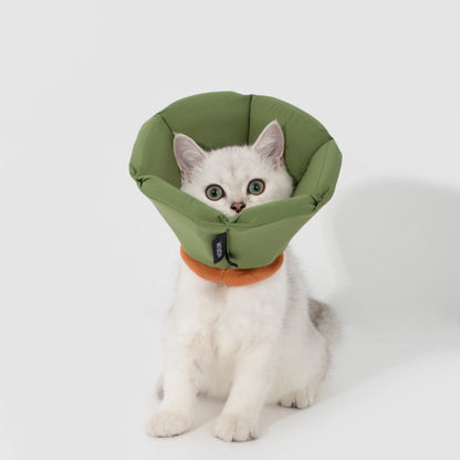 Cozy Sponge Recovery Collar