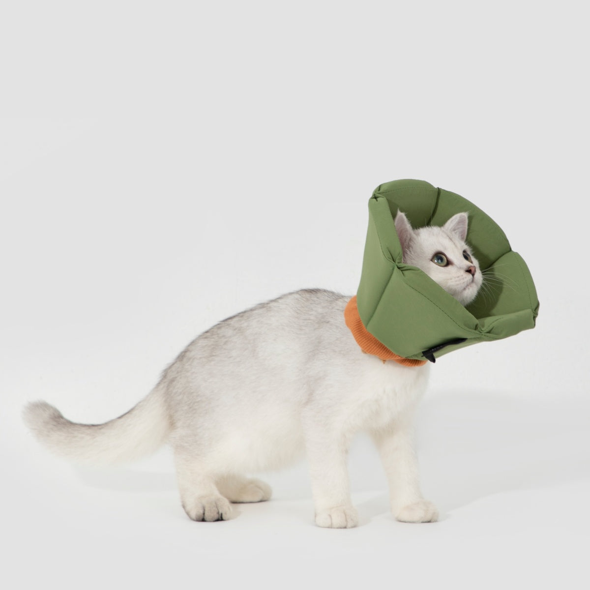 Cozy Sponge Recovery Collar