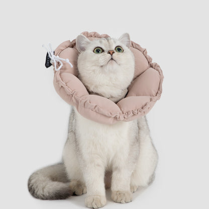 Daisy Recovery Collar