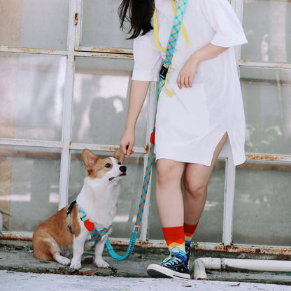 Rainbow PRO Hands-Free Shock-Absorbing Leash