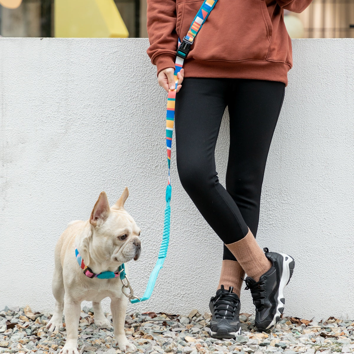 Rainbow PRO Hands-Free Shock-Absorbing Leash