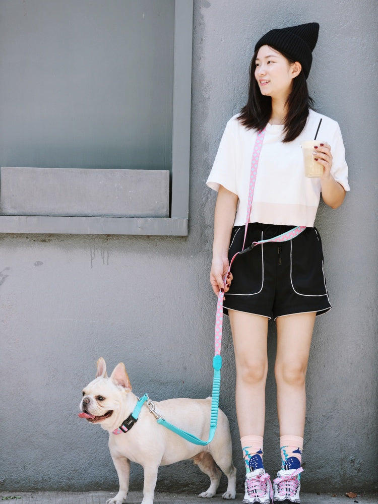 Rainbow PRO Hands-Free Shock-Absorbing Leash
