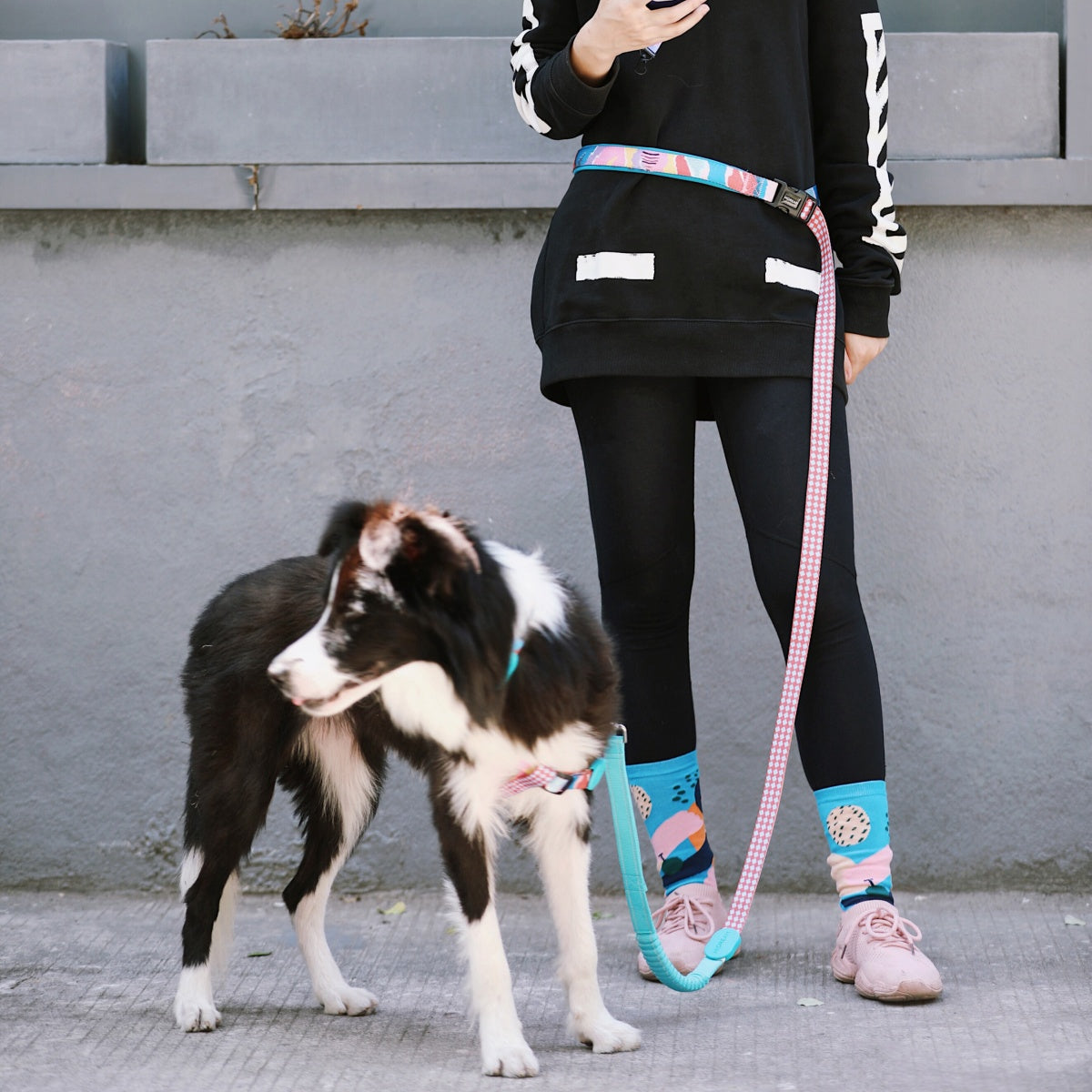 Rainbow PRO Hands-Free Shock-Absorbing Leash
