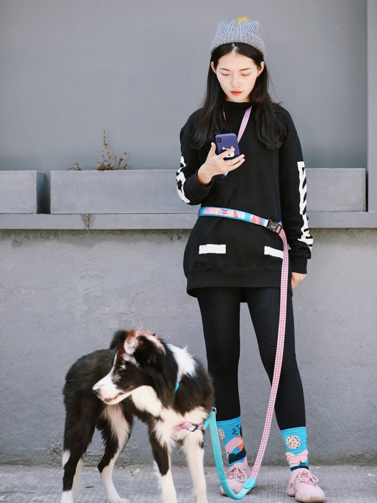 Rainbow PRO Hands-Free Shock-Absorbing Leash