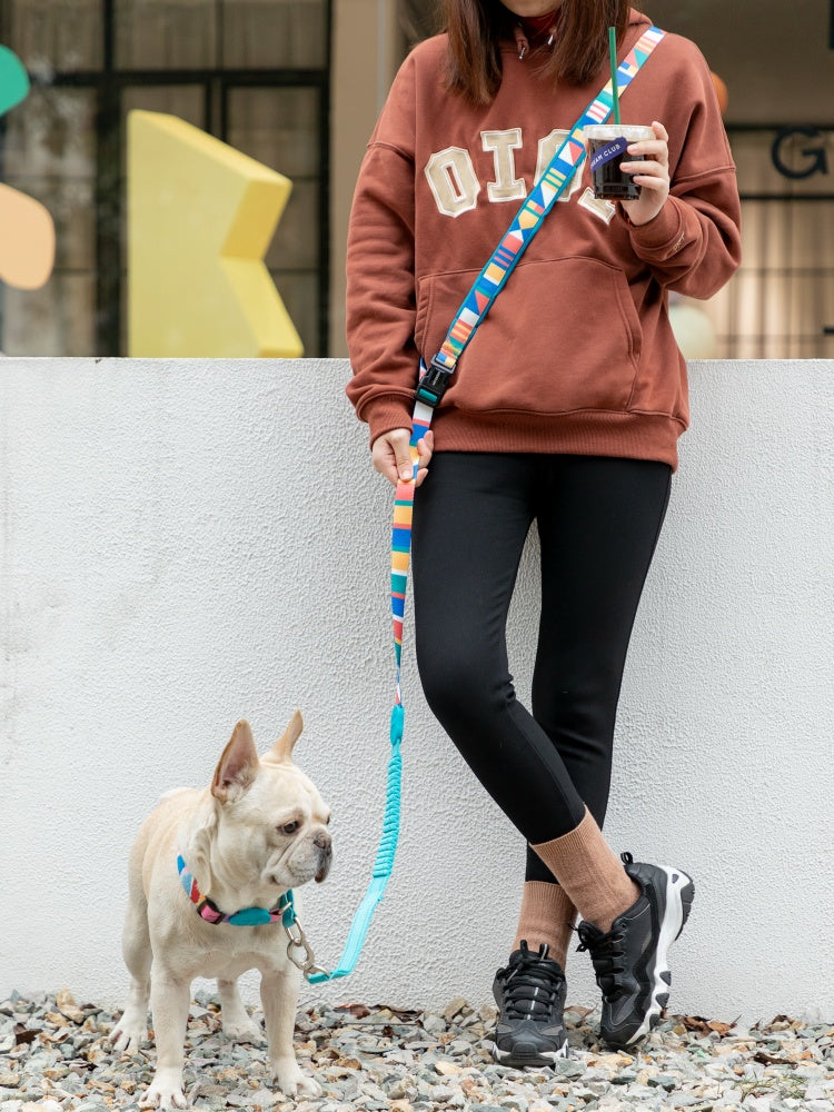 Rainbow PRO Hands-Free Shock-Absorbing Leash