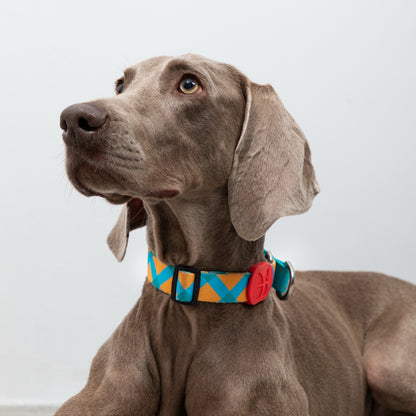 Rainbow PRO No-Pull Half-P Collar