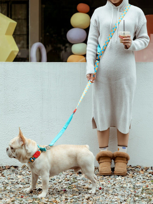Rainbow PRO Hands-Free Shock-Absorbing Leash