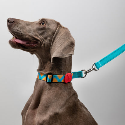 Rainbow PRO No-Pull Half-P Collar
