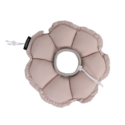 Daisy Recovery Collar