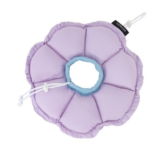 Daisy Recovery Collar