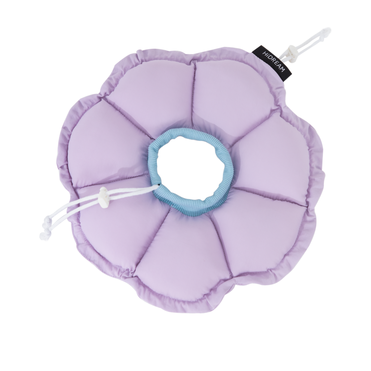 Daisy Recovery Collar