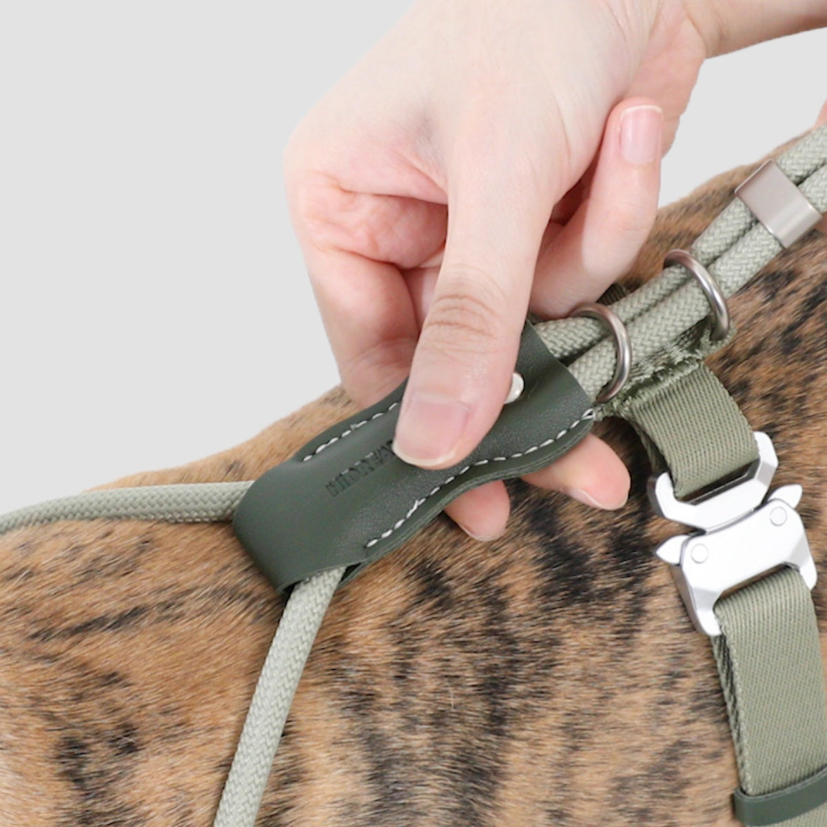 Round Rope Leather Dog Harness